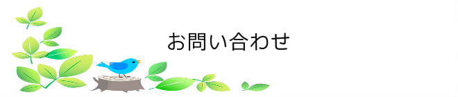 お問い合わせ先